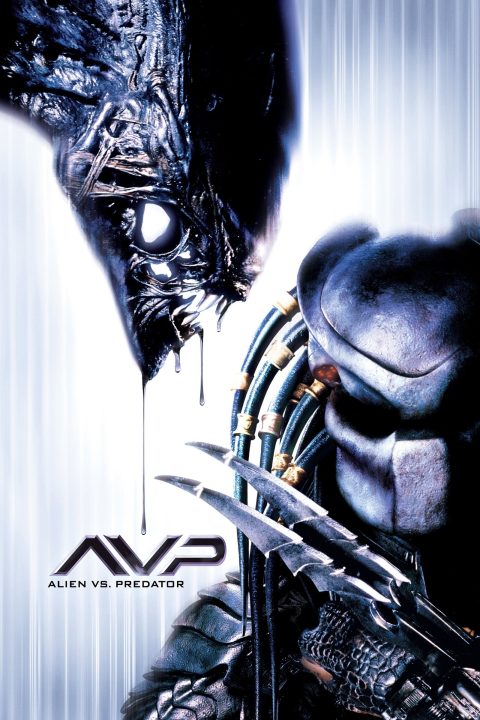 Alien vs Predator Poster for the movie "AVP: Alien vs. Predator"